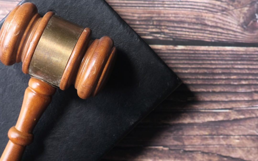 Palmas de Gran Canaria: Éxito de deuda exonerada.