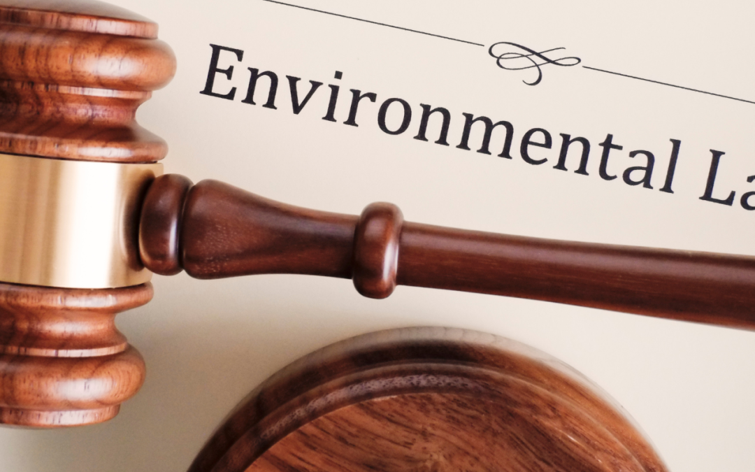 Éxito de Ley de Segunda Oportunidad en Barcelona