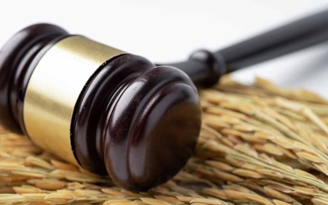 Exoneración de deuda en Barcelona.