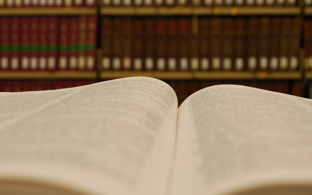  Exoneración en Zafra de deuda liberada.